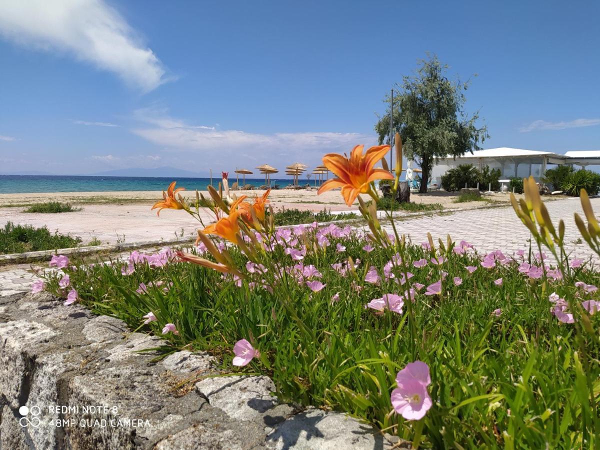 Hause Zorbas Aparthotel Paralia Dionisiou Exterior foto